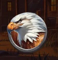 aquila