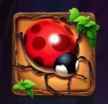 Coccinella