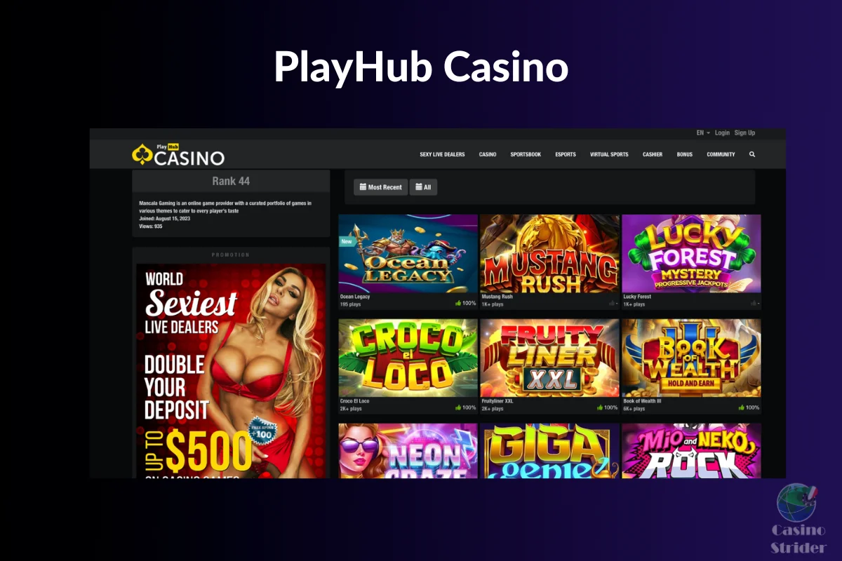 PlayHub Casino