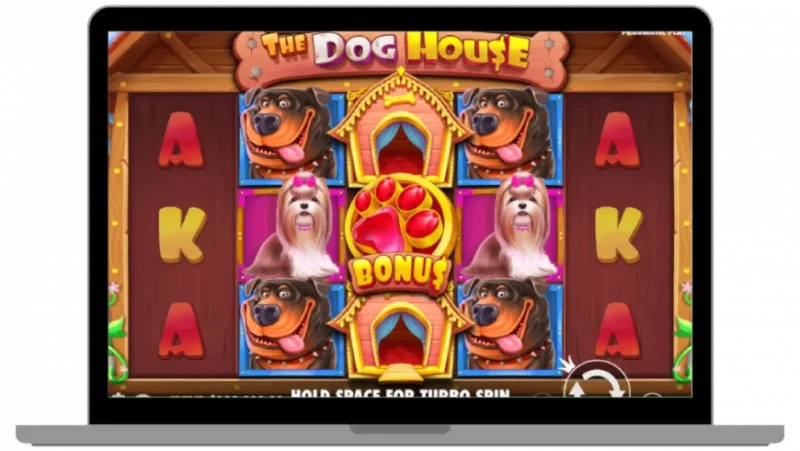 Slot Dog House