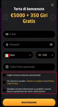 Codice promo e newsletter