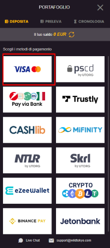 scegli pagamento con carta visa