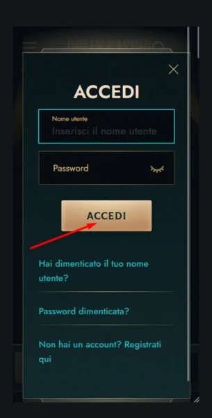Accedi al tuo profilo