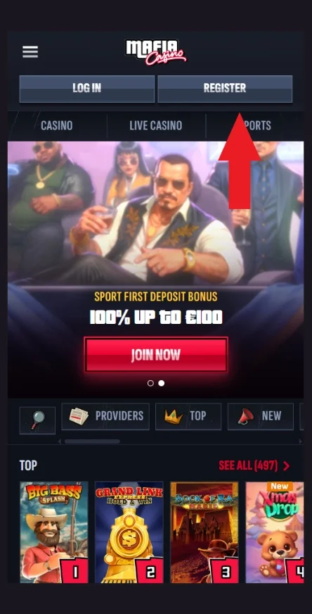 Clicca sul pulsante di registrazione