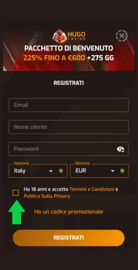 Accetta i termini del sito