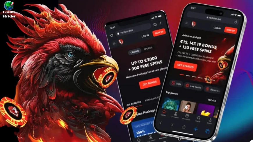 Rooster Bet da mobile